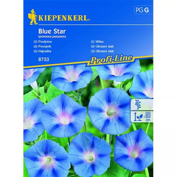 Sjeme ipomeje Blue Star