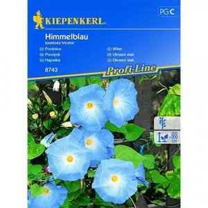 Sjeme ipomeje Blue Sky