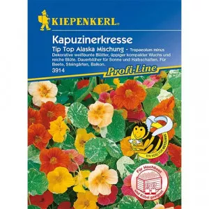Sjeme dragoljuba Tip Top Alaska