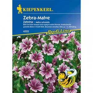 Sjeme francuske lavatere Zebrina