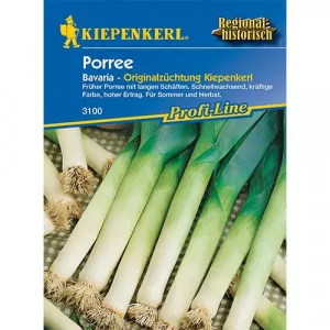 Sjeme poriluka Bavaria