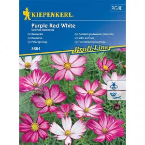Sjeme cosmea Purple Red White