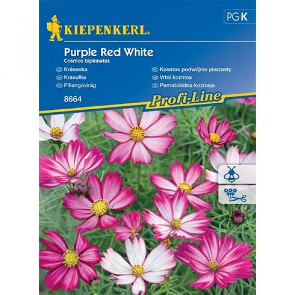 Sjeme cosmea Purple Red White