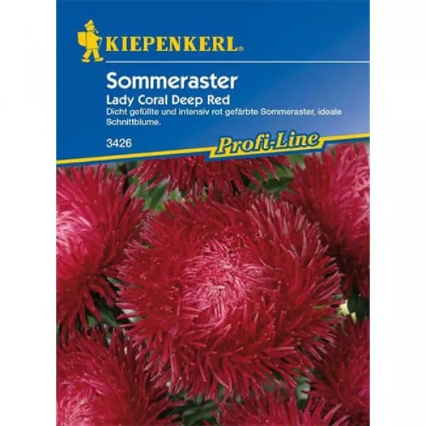Sjeme cinije Lady Coral Deep Red