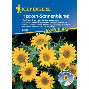 Sjeme ukrasnog suncokreta Golden Hedge