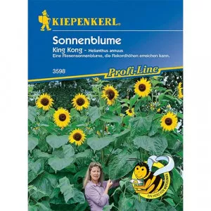Sjeme ukrasnog suncokreta King Kong