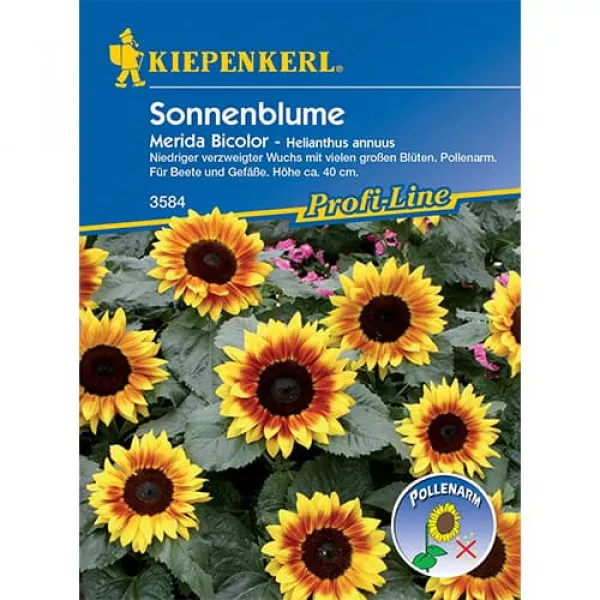 Sjeme ukrasnog suncokreta Merida Bicolor