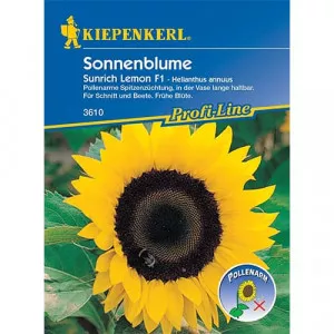 Sjeme ukrasnog suncokreta Sunrich Lemon F1
