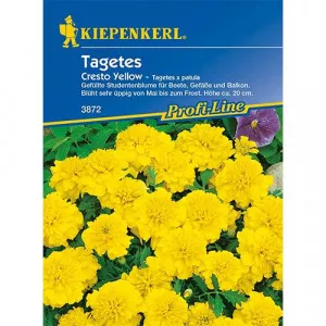 Sjeme kadifice Cresto Yellow