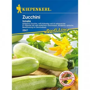 Sjeme tikvica Ismalia F1