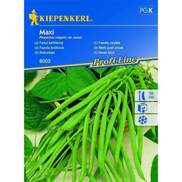 Sjeme graha Maxi