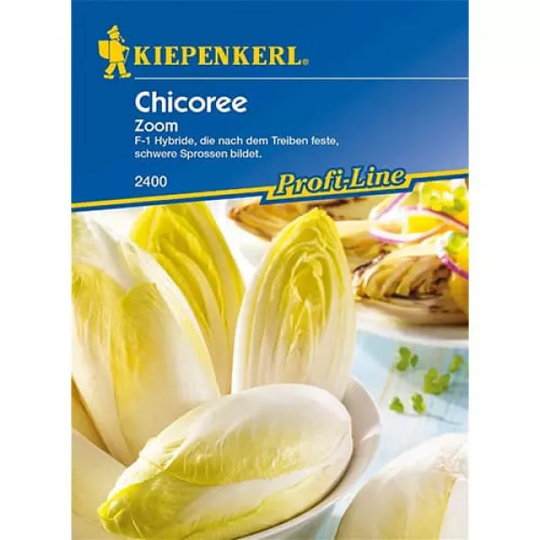Sjeme cikorije Zoom F1
