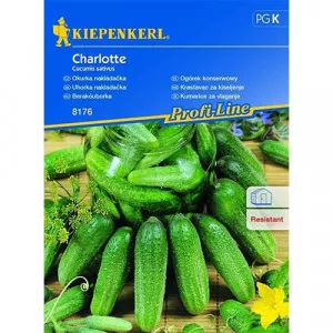 Sjeme krastavca Charlotte F1