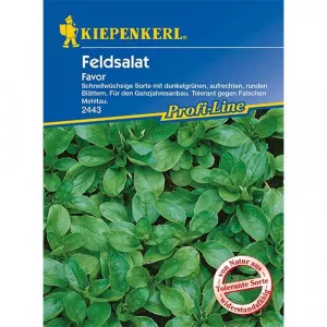 Sjeme matovilca (poljska salata) Favor