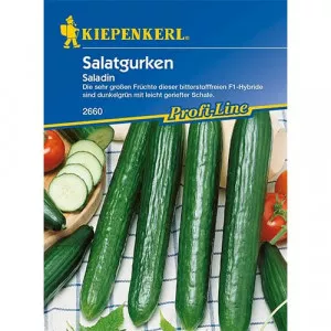 Sjeme salatnog krastavca Saladin