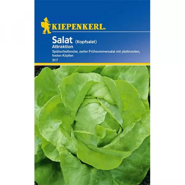 Sjeme zelene salate Attraktion