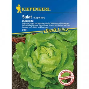 Sjeme zelene salate Dynamite