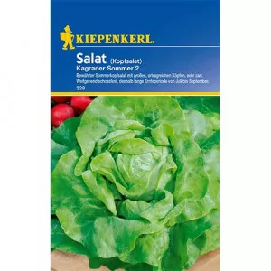 Sjeme zelene salate Kagraner Summer 2