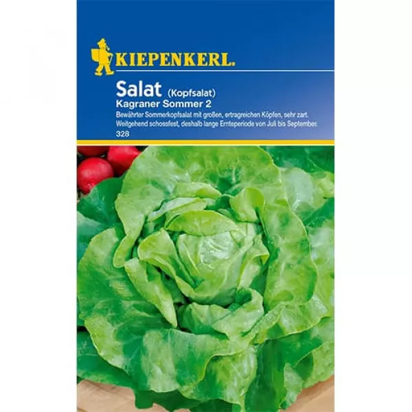 Sjeme zelene salate Kagraner Summer 2