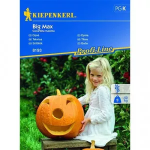 Sjeme bundeve Big Max