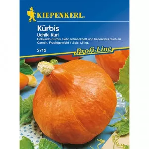 Sjeme bundeve Uchiki Kuri F1