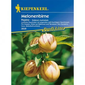 Sjeme pepina