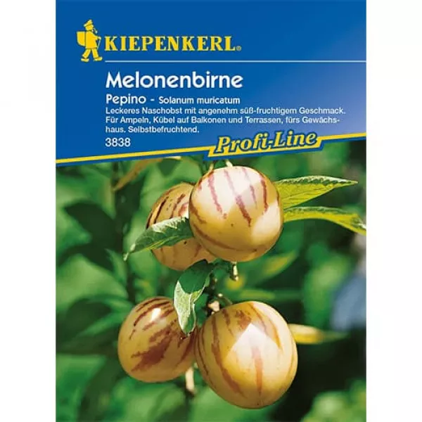 Sjeme pepina