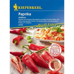 Sjeme ljute paprike Amboy F1