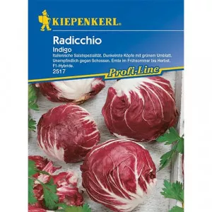 Sjeme crvene cikorije (radicchio) Indigo