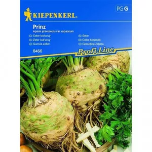 Sjeme korjenastog celera Prinz