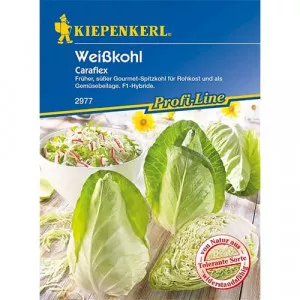 Sjeme bijelog kupusa Caraflex F1