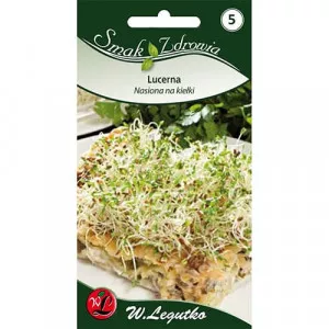 Sjeme klica – lucerna