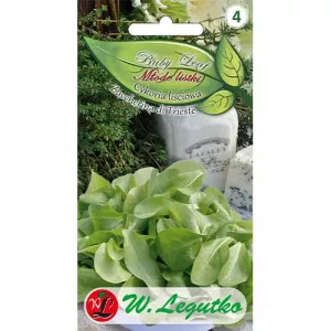 Sjeme baby leaf – cikorija Zuccherina di Trieste