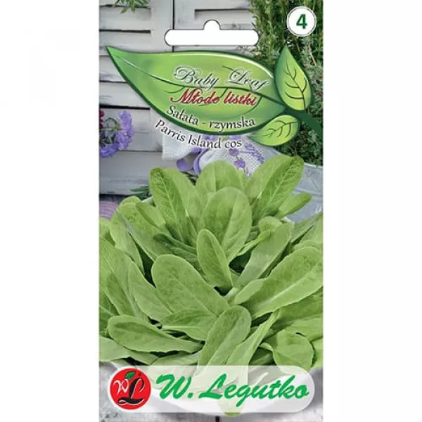 Sjeme baby leaf – salata romana Paris Island Cos