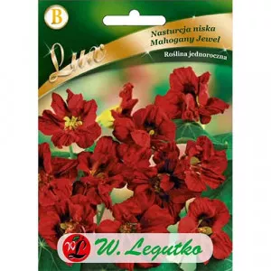 Sjeme dragoljuba Mahogany Jewel