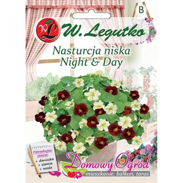Sjeme dragoljuba Night and Day