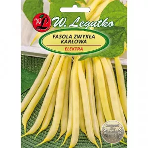 Sjeme graha Elektra