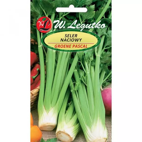 Sjeme lisnatog celera Plein blanc Pascal Sjeme lisnatog celera Plein blanc Pascal