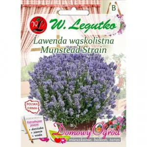 Sjeme lavande Munstead Strain