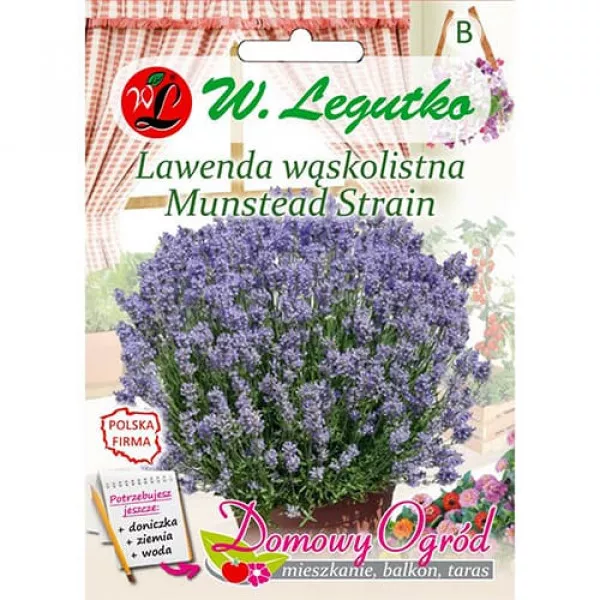 Sjeme lavande Munstead Strain