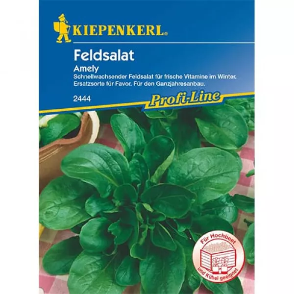 Sjeme matovilca (poljska salata) Amely
