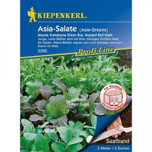 Sjeme azijske salate – mješavina sorti
