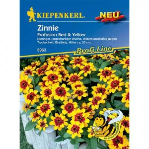 Sjeme cinije Red & Yellow