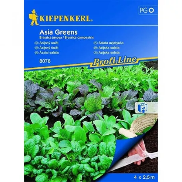 Sjeme azijske salate Asia Greens – na traci Sjeme azijske salate Asia Greens – na traci