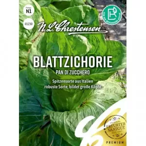 Sjeme cikorije Pan di Zucchero