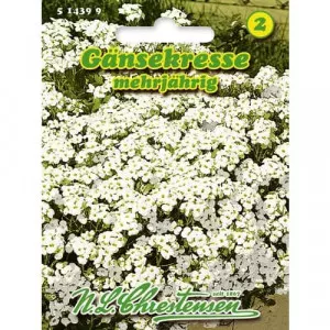 Sjeme Arabis caucasica (planinski kres)