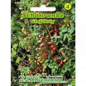 Sjeme eccremocarpusa (jednogodišnji penjač)