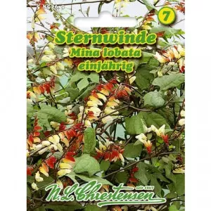 Sjeme quamoclita (Mina lobata)