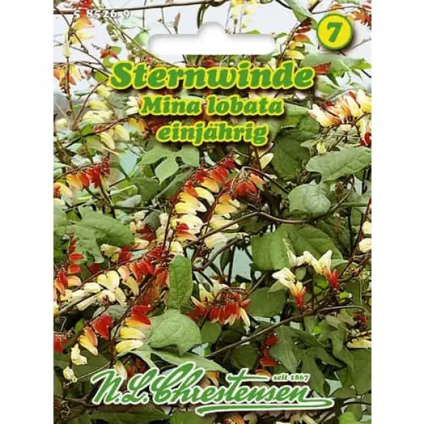 Sjeme quamoclita (Mina lobata) Sjeme quamoclita (Mina lobata)