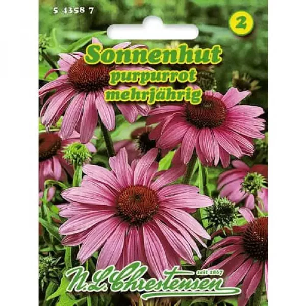 Sjeme rudbekije Purpurea